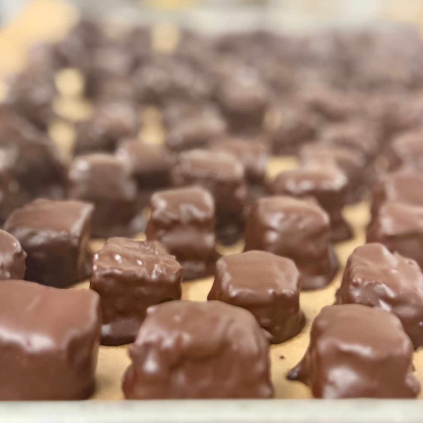 Case of 12 Chocolate Covered Raw Honeycomb