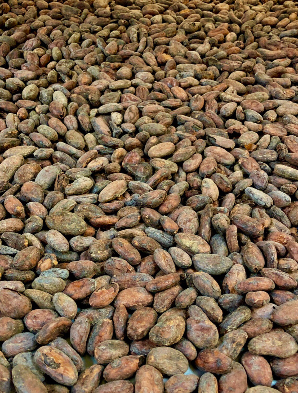 The Cost of Craft Chocolate